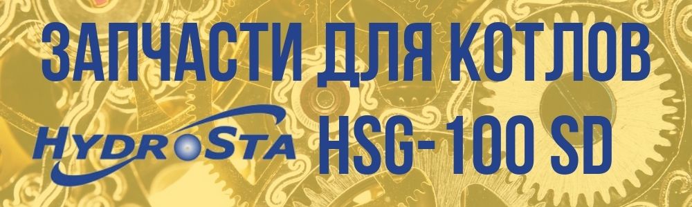 Запчасти Hydrosta HSG-100 SD Купить запчасти котла Hydrosta HSG-100 SD в Снежинске